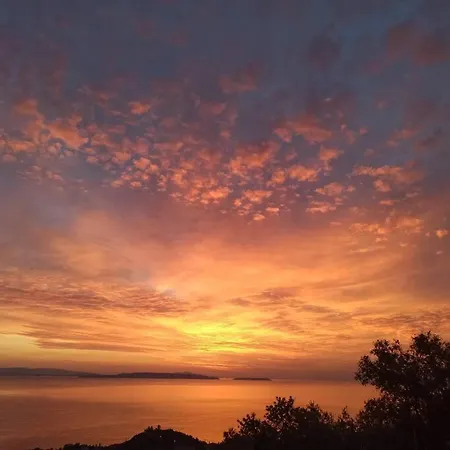 πανόραμα, πραγματευτή λεωνιδίου, τ.κ.22300 * Leonidio